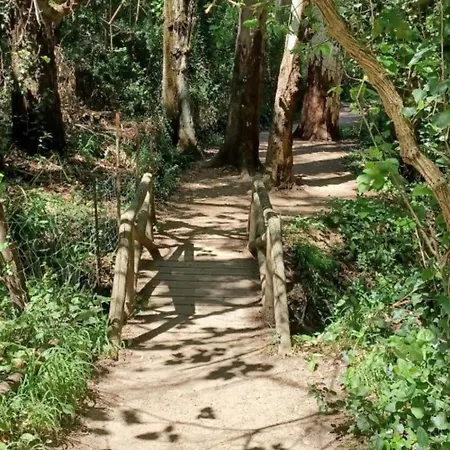 Mi Descanso Apartamento El Bosque (Cadiz)